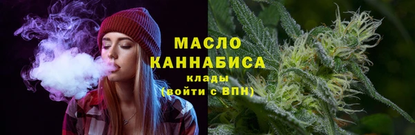 сатива Вяземский
