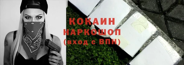 сатива Вяземский
