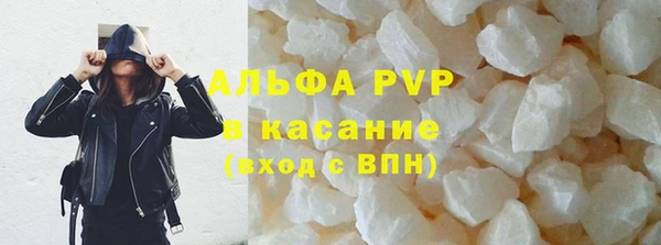 сатива Вяземский