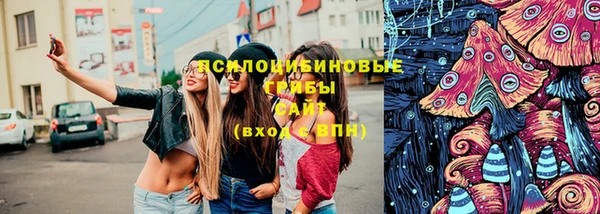 гидропоника Верея